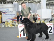 Превью фото № 200640