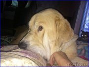 Превью фото № 200648