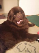 Превью фото № 200656