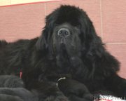 Превью фото № 200671