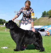 Превью фото № 200687