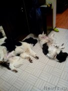 Превью фото № 200690