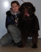 Превью фото № 200700