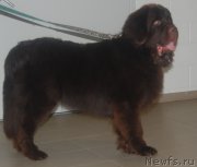 Превью фото № 200701