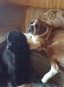 Превью фото № 200716