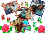 Превью фото № 200717