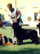 Превью фото № 200722