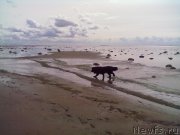 Превью фото № 200751