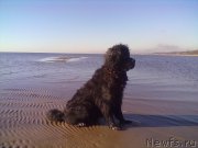 Превью фото № 200752