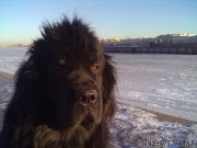 Превью фото № 200765