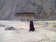 Превью фото № 200768