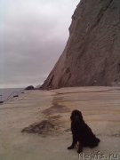 Превью фото № 200770