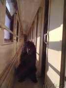 Превью фото № 200771