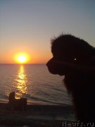 Превью фото № 200778