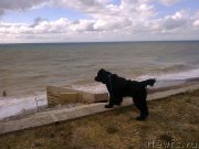 Превью фото № 200785