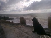 Превью фото № 200786