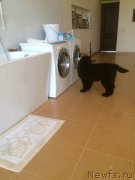 Превью фото № 200797