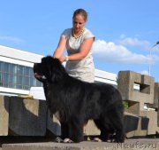 Превью фото № 200837