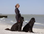 Превью фото № 200891