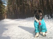 Превью фото № 200896