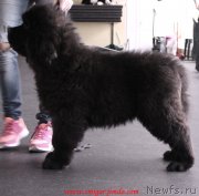 Превью фото № 200913