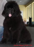 Превью фото № 200914