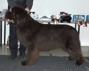 Превью фото № 200948