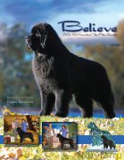 Превью фото № 200977