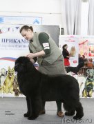 Превью фото № 200993