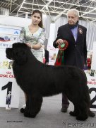 Превью фото № 200996