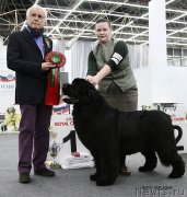 Превью фото № 200998