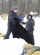 Превью фото № 201010