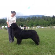 Превью фото № 201056