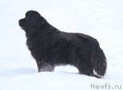 Превью фото № 201063