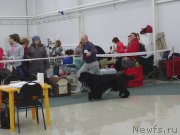 Превью фото № 201075