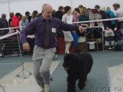 Превью фото № 201076