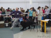 Превью фото № 201077