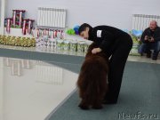 Превью фото № 201079