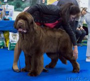 Превью фото № 201098