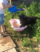 Превью фото № 201139