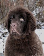 Превью фото № 201178