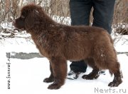 Превью фото № 201180