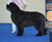 Превью фото № 201199