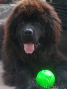 Превью фото № 201216