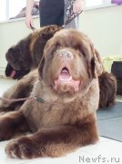 Превью фото № 201222