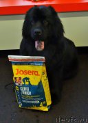 Превью фото № 201234