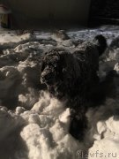 Превью фото № 201245