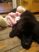 Превью фото № 201253