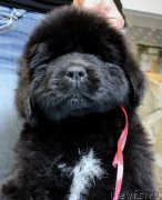 Превью фото № 201358