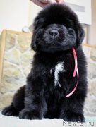 Превью фото № 201359